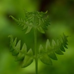 Fot. Przemysław Kwaśny