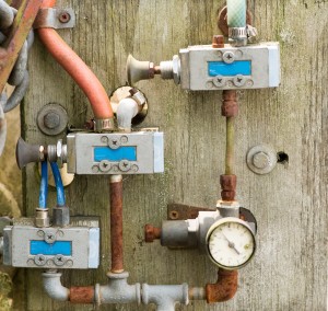 Fot. Przemysław Kwaśny