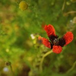 Fot. Weronika Banaszczyk