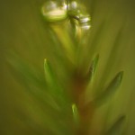 Fot. Weronika Banaszczyk