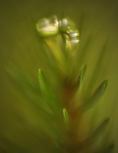 Fot. Weronika Banaszczyk