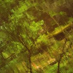 Fot. Weronika Banaszczyk