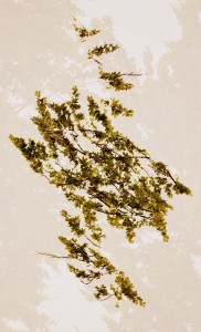 Fot. Weronika Banaszczyk