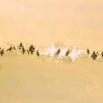 Fot. Weronika Banaszczyk