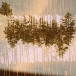 Fot. Weronika Banaszczyk