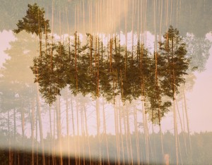 Fot. Weronika Banaszczyk