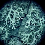 Fot. Weronika Banaszczyk