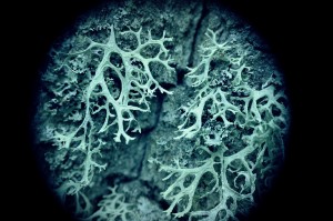 Fot. Weronika Banaszczyk