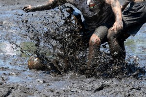 Fot. Karolina Mokrzycka