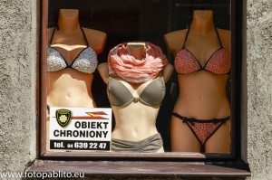 Fot. Paweł Szkurłat