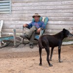 Fot. Agnieszka Sowińska