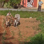 Fot. Agnieszka Sowińska