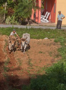 Fot. Agnieszka Sowińska