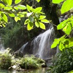 Fot. Agnieszka Sowińska