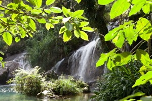 Fot. Agnieszka Sowińska