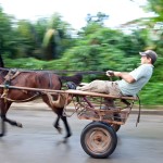 Fot. Agnieszka Sowińska