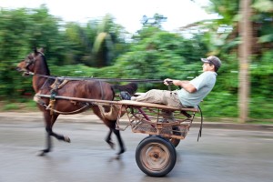 Fot. Agnieszka Sowińska