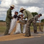 Fot. Agnieszka Sowińska