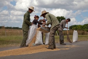 Fot. Agnieszka Sowińska