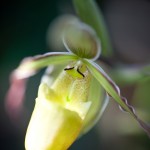 Fot. Agnieszka Sowińska