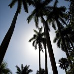 Fot. Agnieszka Sowińska