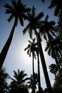 Fot. Agnieszka Sowińska