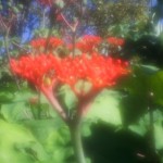 Fot. Agnieszka Sowińska