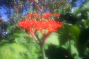 Fot. Agnieszka Sowińska