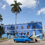 Fot. Agnieszka Sowińska