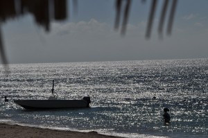 Fot. Jolanta Golinowska