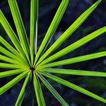 Fot. Jolanta Golinowska