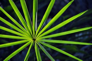 Fot. Jolanta Golinowska