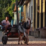 Fot. Jolanta Golinowska