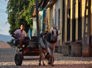 Fot. Jolanta Golinowska