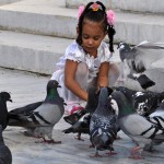 Fot. Jolanta Golinowska