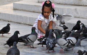 Fot. Jolanta Golinowska