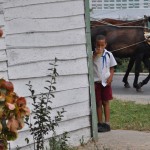 Fot. Jolanta Golinowska