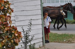 Fot. Jolanta Golinowska