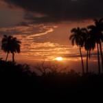 Fot. Jolanta Golinowska