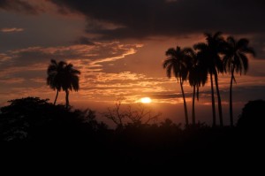 Fot. Jolanta Golinowska