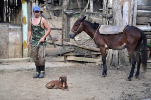 Fot. Jolanta Golinowska