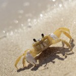 Fot. Aleksandra Nowak