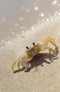 Fot. Aleksandra Nowak