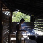 Fot. Aleksandra Nowak