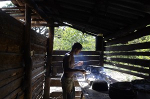 Fot. Aleksandra Nowak