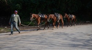 Fot. Aleksandra Nowak