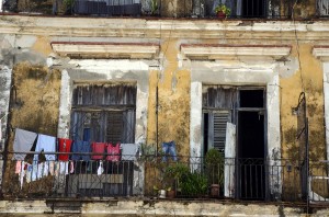 Fot. Aleksandra Nowak