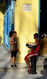 Fot. Aleksandra Nowak