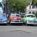 Fot. Aleksandra Nowak