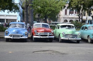 Fot. Aleksandra Nowak